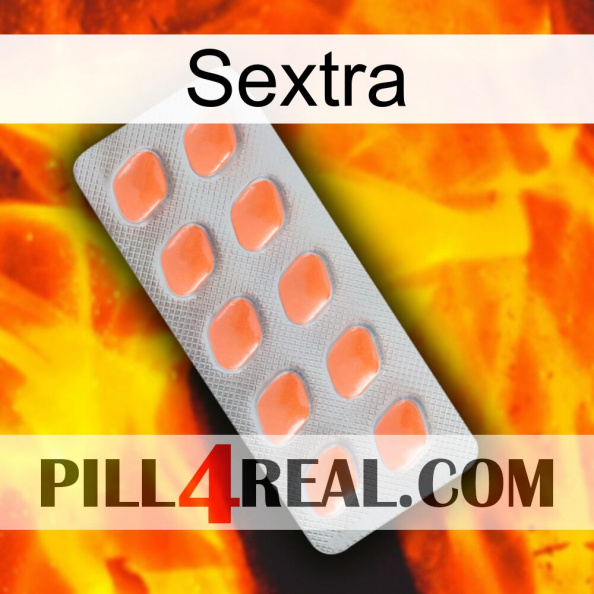 Sextra 26.jpg